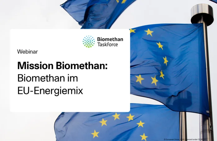 Mission Biomethan: Biomethan im EU-Energiemix