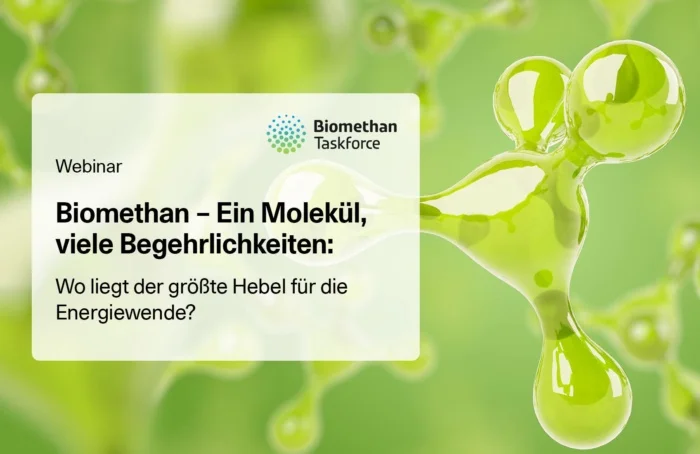 Webinar Biomethan – Ein Molekül, viele Begehrlichkeiten
